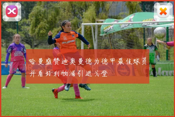哈曼盛赞迪奥曼德为德甲最佳球员并看好利物浦引进戈登