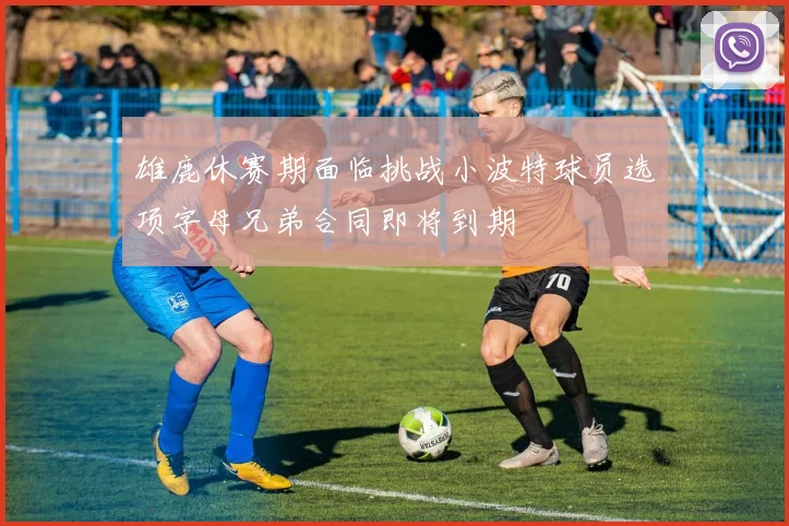 雄鹿休赛期面临挑战小波特球员选项字母兄弟合同即将到期